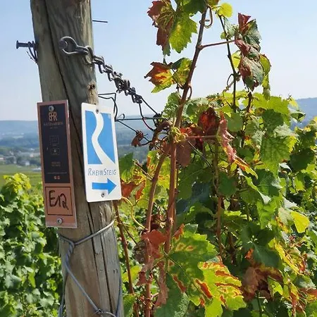 Lahnmündung Mit Kostenlosem Parkplatz Lahnstein