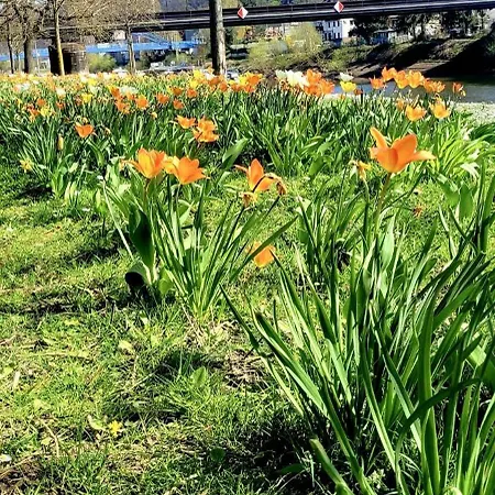Lahnmuendung Mit Kostenlosem Parkplatz