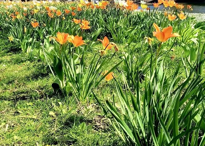 Lahnmuendung Mit Kostenlosem Parkplatz
